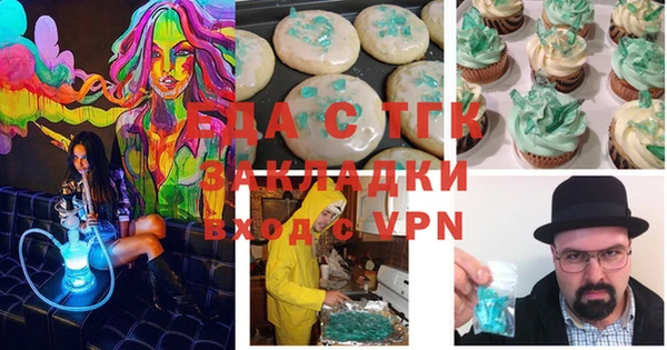 индика Гусь-Хрустальный