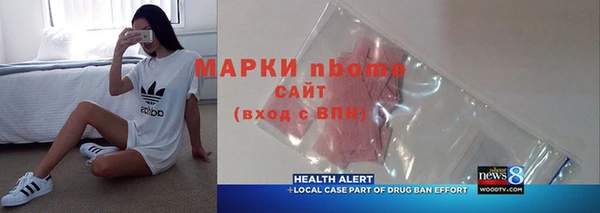 индика Гусь-Хрустальный