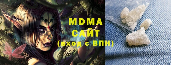 индика Гусь-Хрустальный
