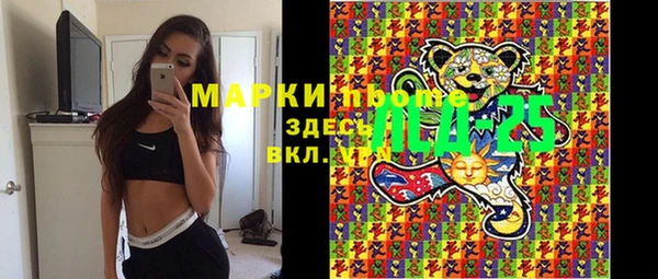 индика Гусь-Хрустальный