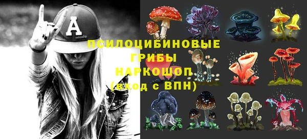 индика Гусь-Хрустальный