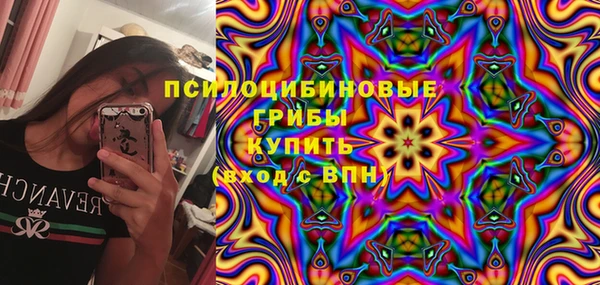 ешки Дмитров