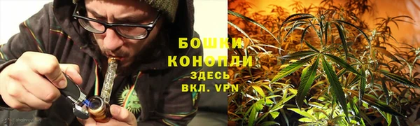 метадон Гусиноозёрск